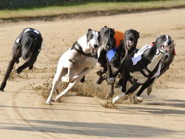Sunday's RPGTV action comes from the meeting at Henlow